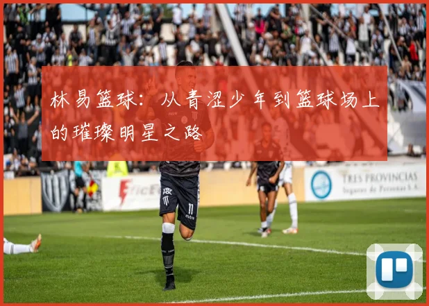 林易篮球：从青涩少年到篮球场上的璀璨明星之路