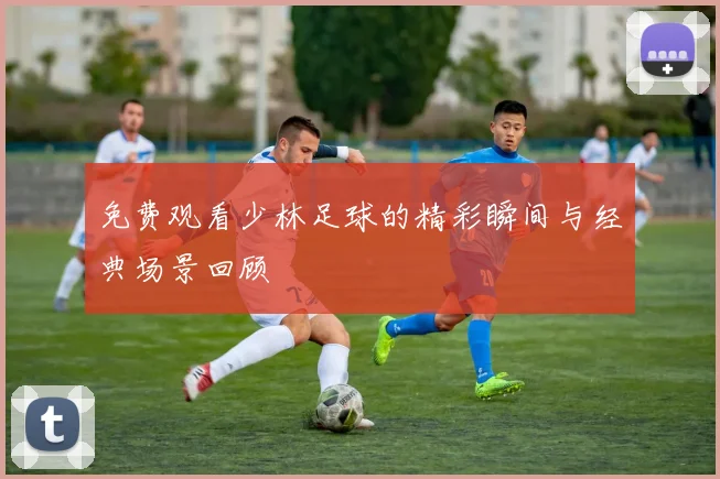 免费观看少林足球的精彩瞬间与经典场景回顾