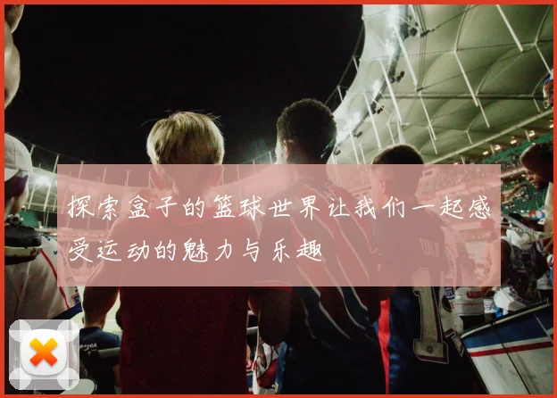 探索盒子的篮球世界让我们一起感受运动的魅力与乐趣