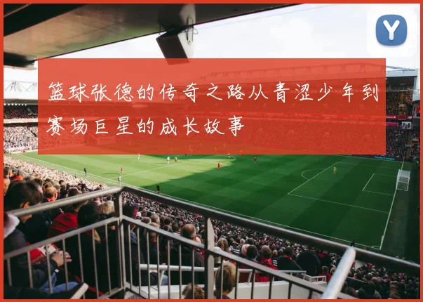 篮球张德的传奇之路从青涩少年到赛场巨星的成长故事