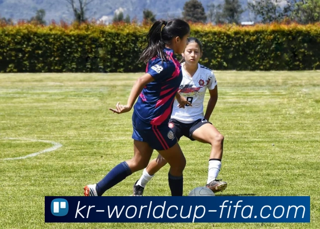 美加墨世界杯发展历程